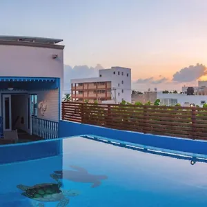  בית אירוח Casa Barco Boutique מקסיקו